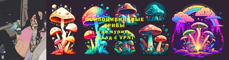 Галлюциногенные грибы Psilocybe  цена наркотик  ОМГ ОМГ ссылки  Тобольск 